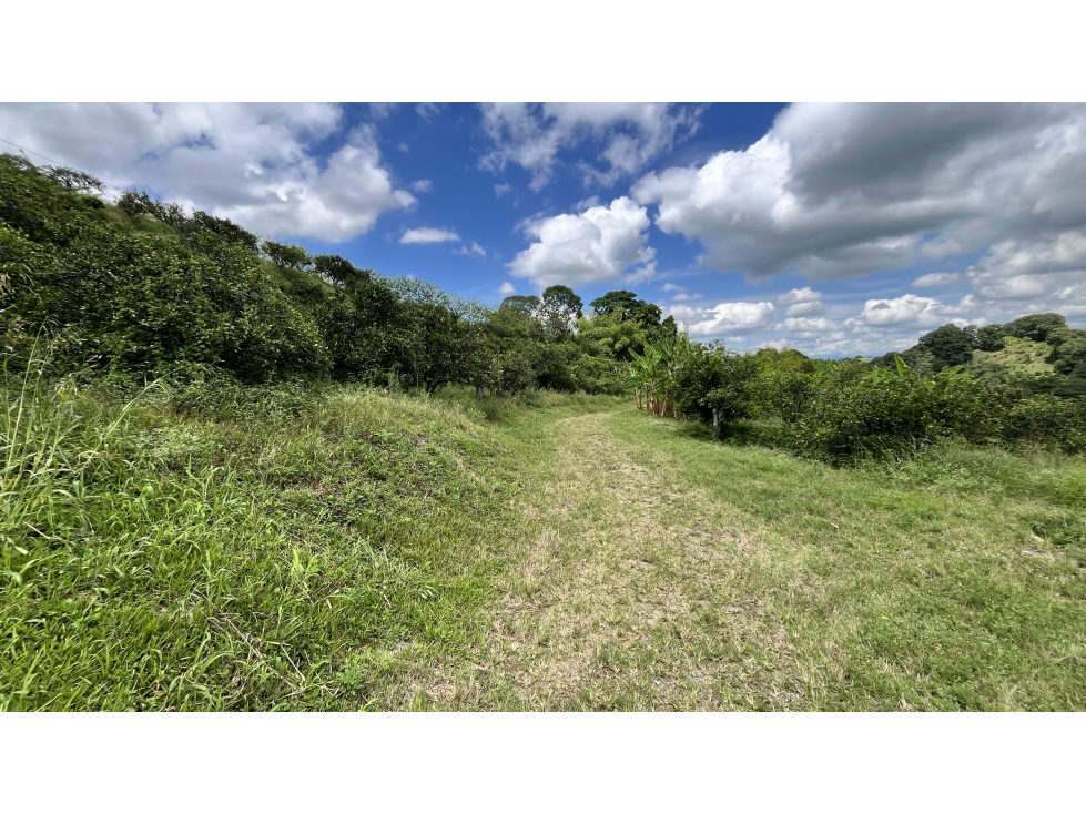 VENTA DE FINCA EN BUENAVISTA, QUINDÍO, COLOMBIA - 5