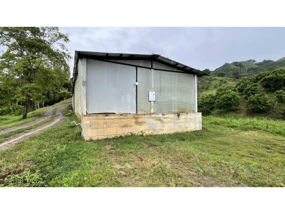 SE VENDE FINCA EN CARTAGO, VALLE, COLOMBIA — foto 5