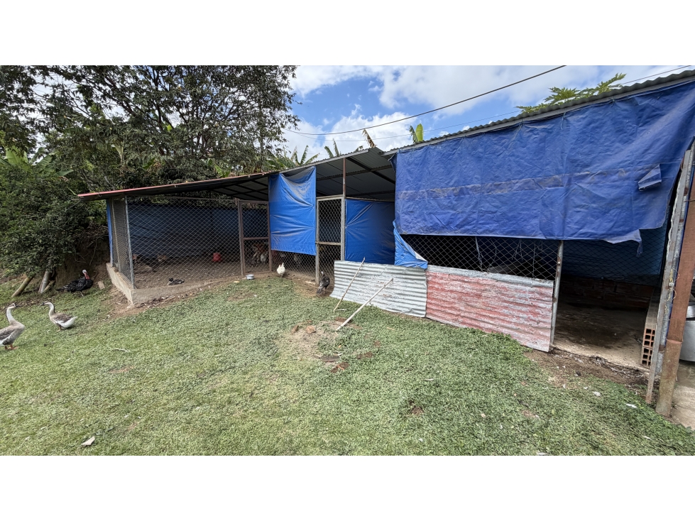 VENTA DE FINCA EN CIRCASIA, QUINDÍO, COLOMBIA — foto 5