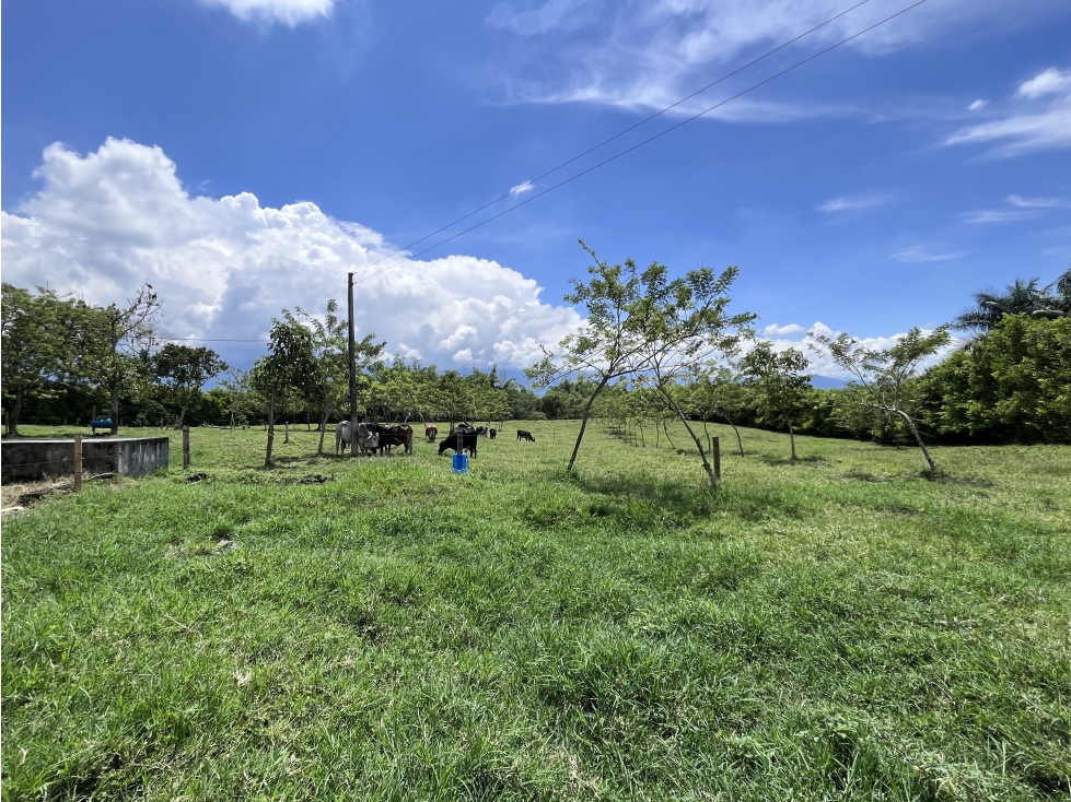 VENTA DE LOTE CAMPESTRE EN ARMENIA, QUINDIO, COLOMBIA — foto 6