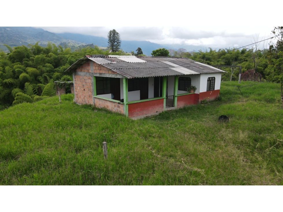 VENTA DE LOTE CAMPESTRE EN CALARCÁ, QUINDÍO, COLOMBIA - 1