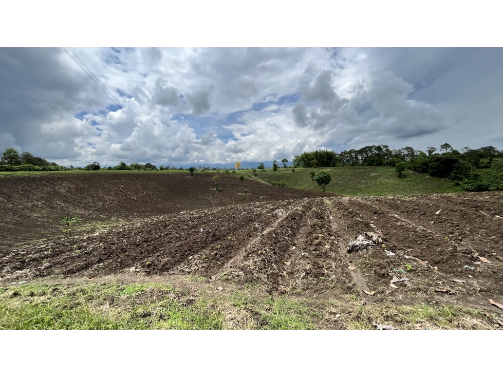 VENTA DE FINCA EN TEBAIDA, QUINDÍO, COLOMBIA - 6