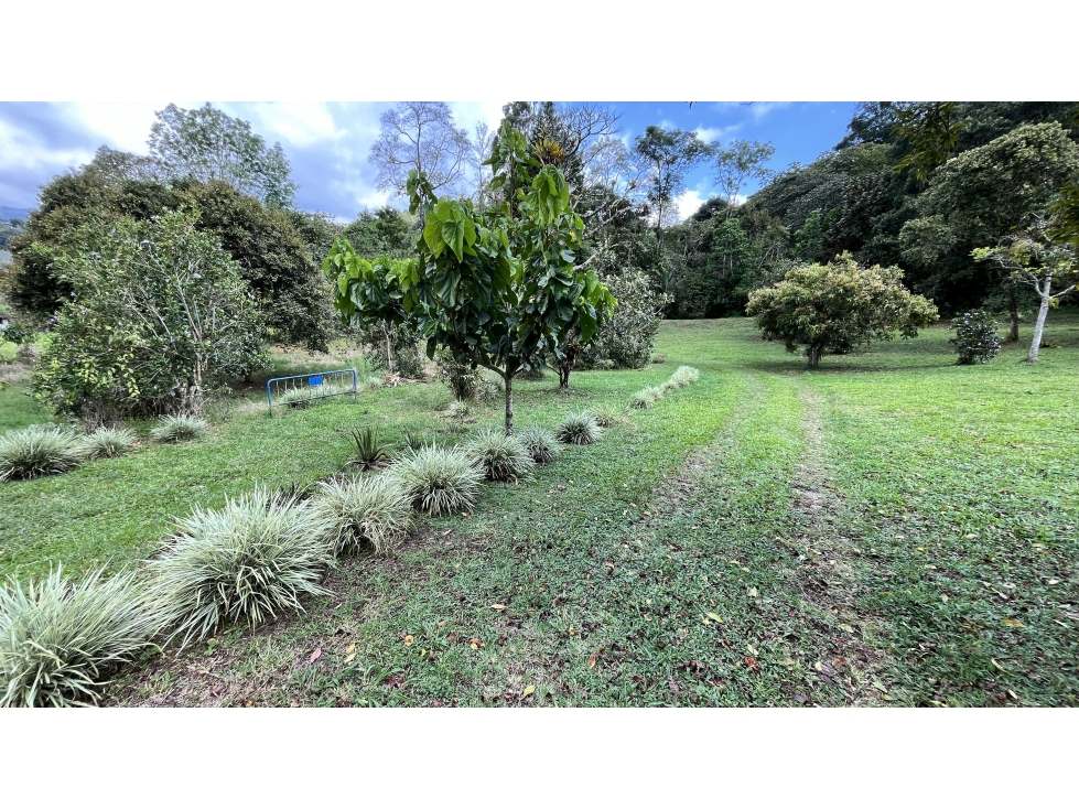 VENTA DE FINCA EN SALENTO, QUINDÍO, COLOMBIA - 6