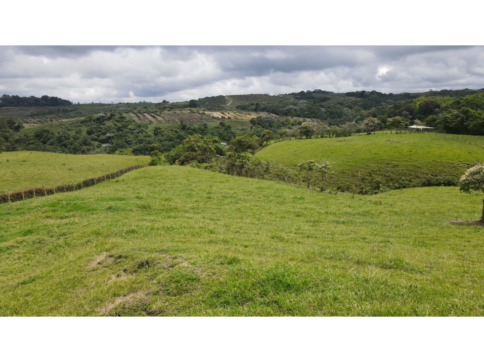 VENTA DE LOTE EN CIRCASIA, QUINDÍO, COLOMBIA - 5