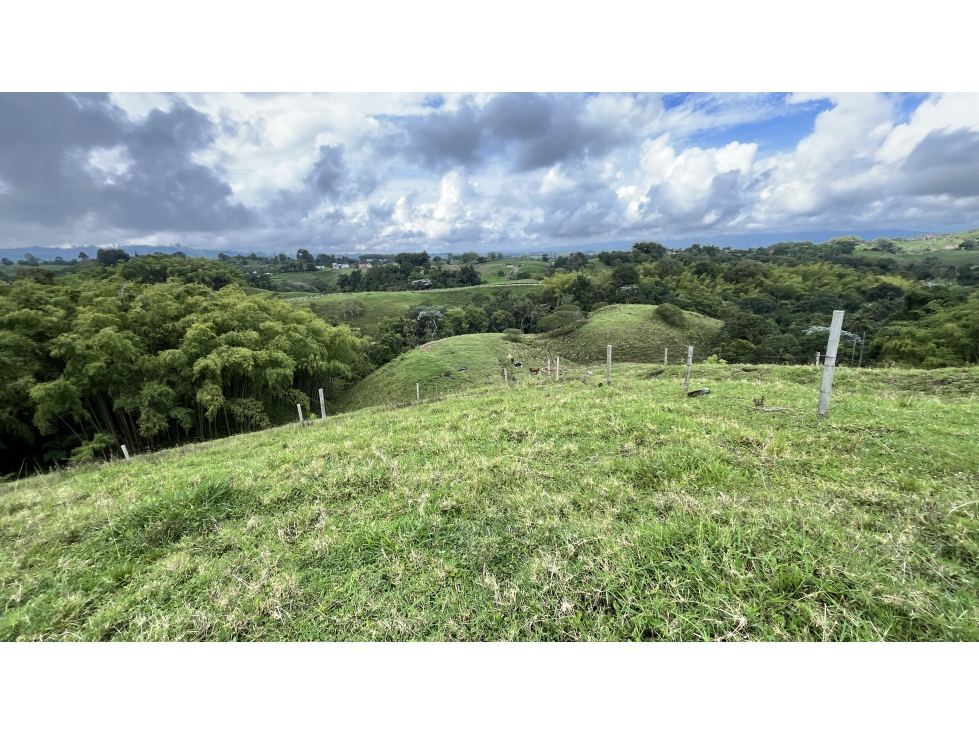 VENTA DE LOTE EN FILANDIA, QUINDÍO, COLOMBIA - 6