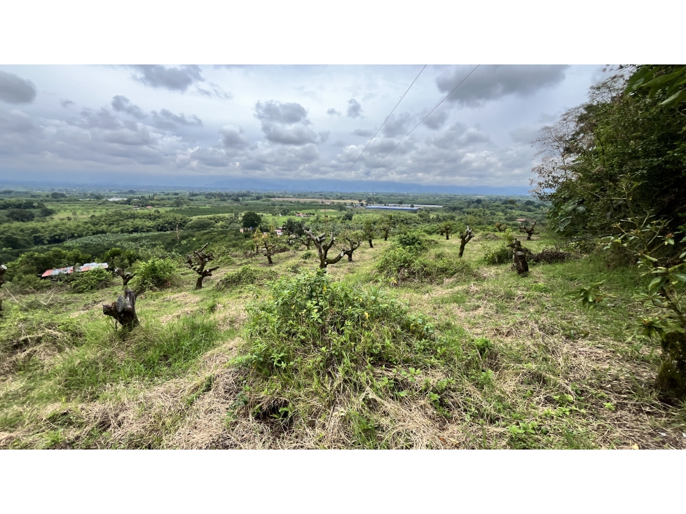 VENTA DE HERMOSO LOTE EN MONTENEGRO, QUINDÍO, COLOMBIA - 6