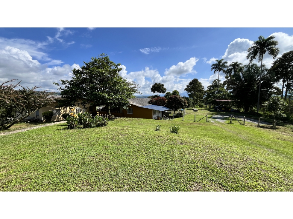 VENTA DE FINCA EN CAICEDONIA, VALLE, COLOMBIA - 5