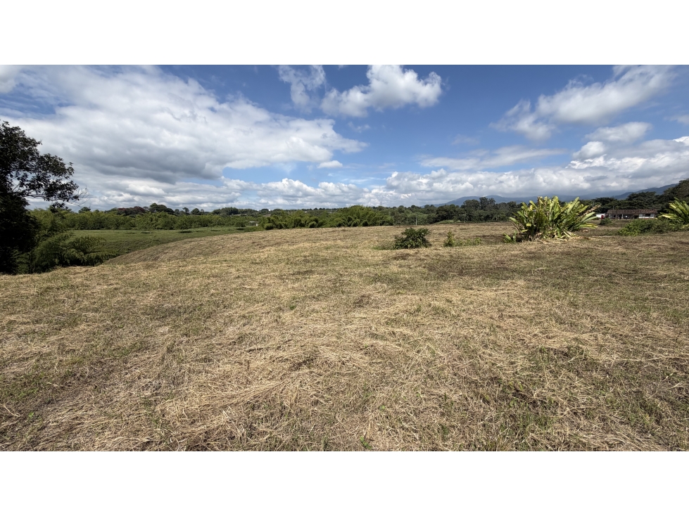 VENTA DE LOTE COMERCIAL EN ARMENIA, QUINDÍO, COLOMBIA — foto 6