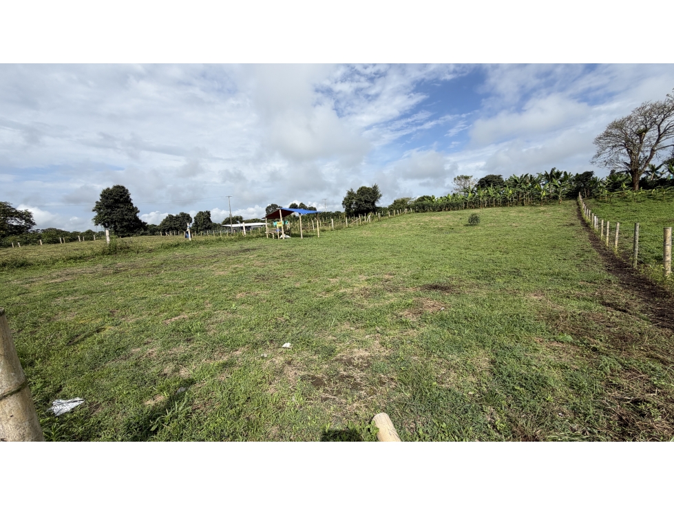 VENTA DE LOTE EN QUIMBAYA, QUINDÍO, COLOMBIA - 3