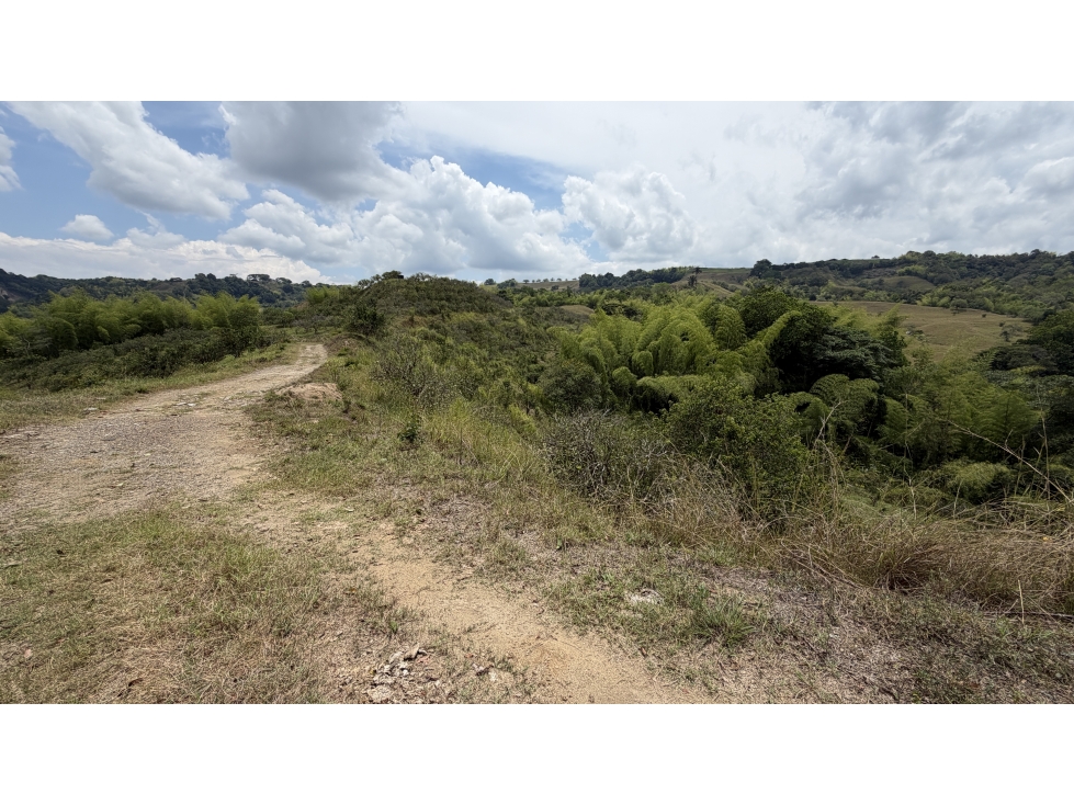 VENTA DE FINCA EN MONTENEGRO, QUINDÍO, COLOMBIA - 6