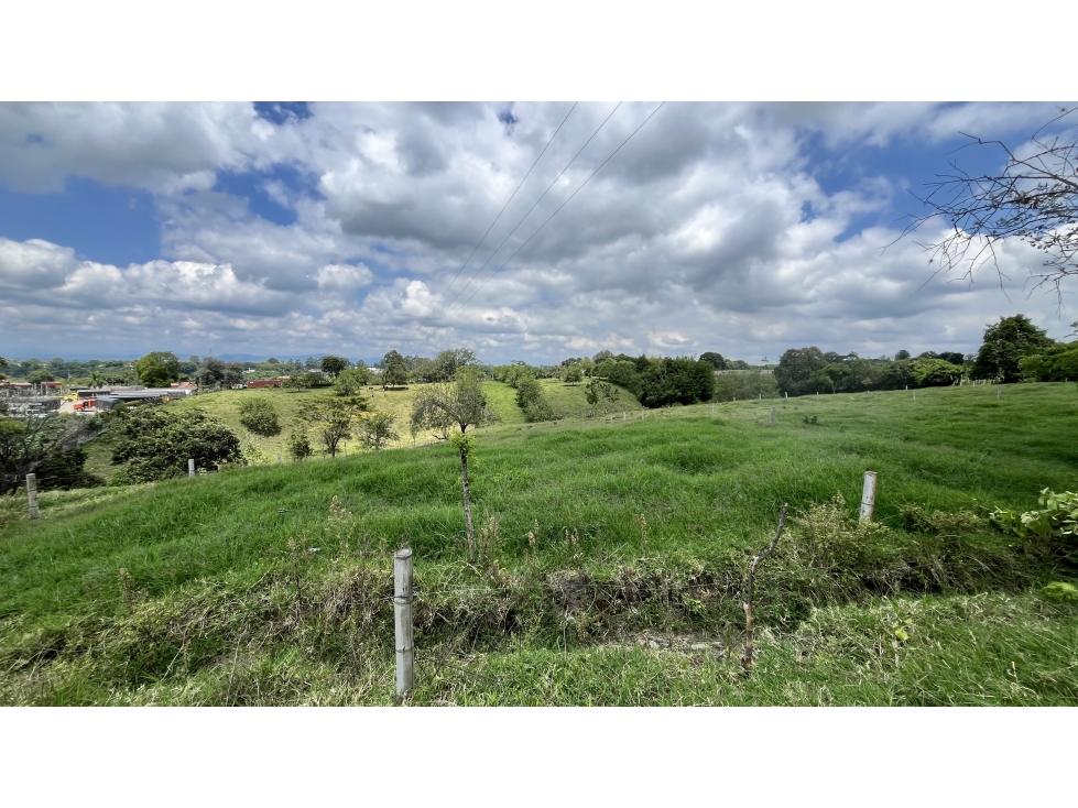 VENTA DE FINCA EN CALARCÁ, QUINDÍO, COLOMBIA - 5