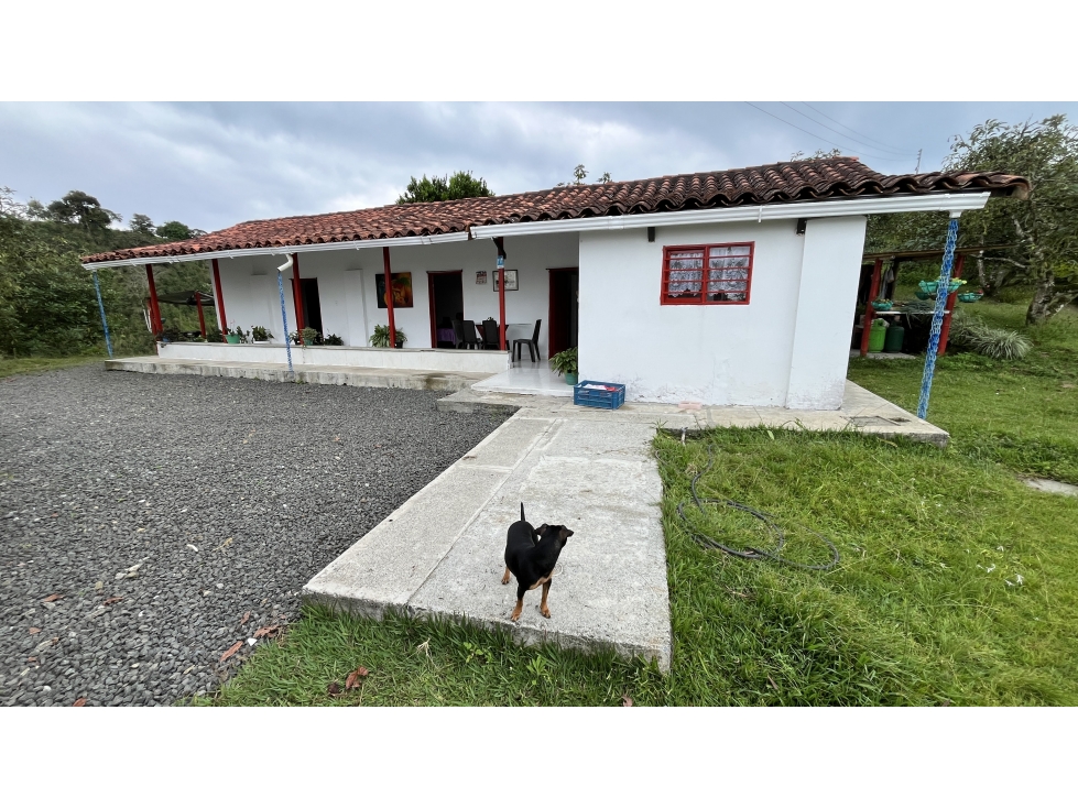 VENTA DE FINCA EN ALCALÁ, VALLE, COLOMBIA - 4