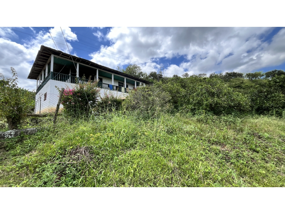 VENTA DE FINCA EN BUENAVISTA, QUINDÍO, COLOMBIA - 6