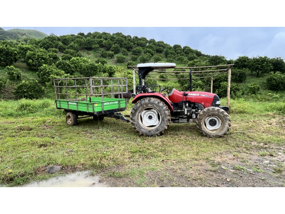 SE VENDE FINCA EN CARTAGO, VALLE, COLOMBIA — foto 6