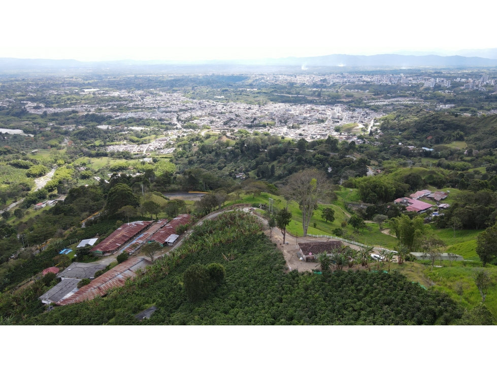 VENTA DE FINCA EN CALARCÁ, QUINDÍO, COLOMBIA - 6