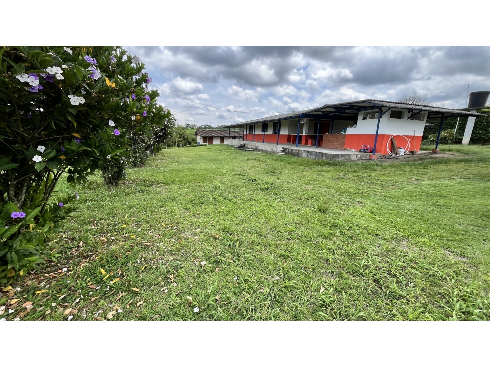 VENTA DE ESPECTACULAR LOTE EN MONTENEGRO, QUINDÍO, COLOMBIA - 3