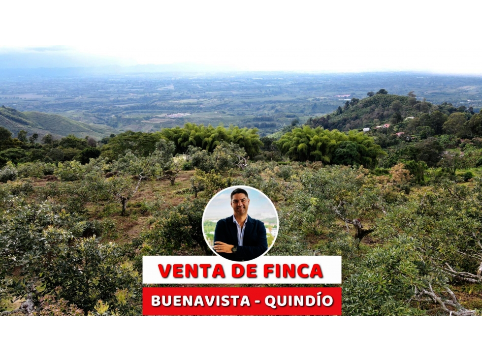 VENTA DE FINCA EN BUENAVISTA, QUINDÍO, COLOMBIA - 1