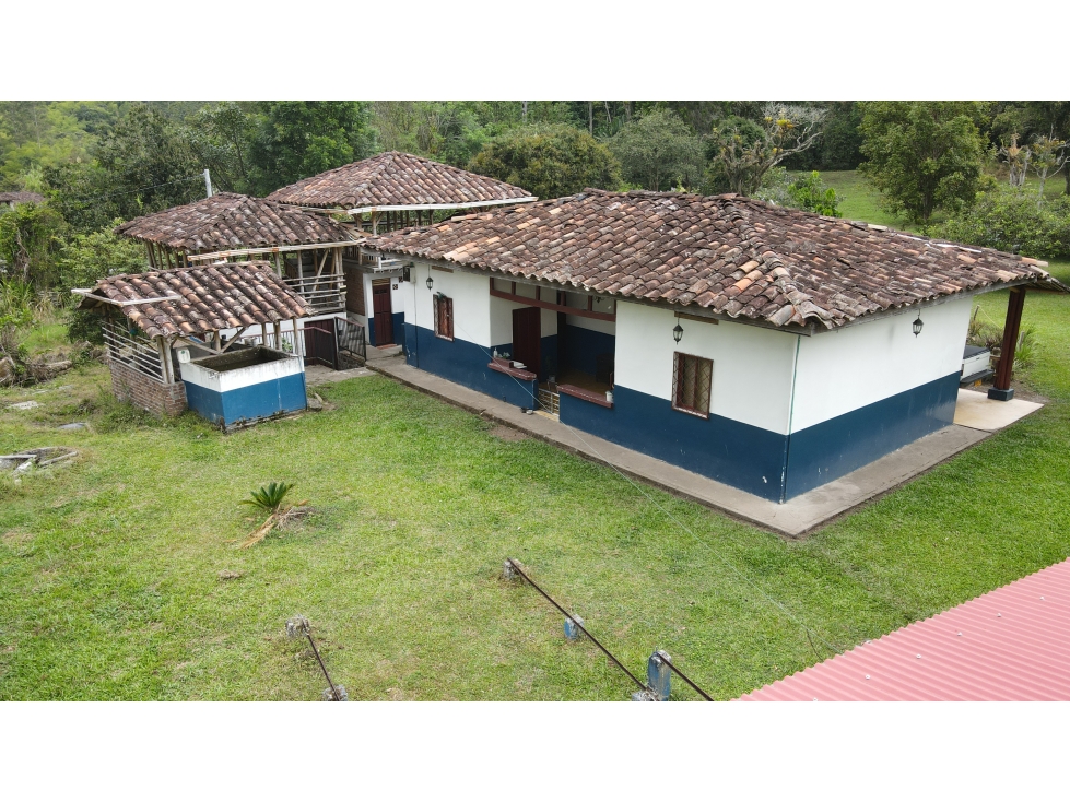 VENTA DE FINCA EN SALENTO, QUINDÍO, COLOMBIA - 1