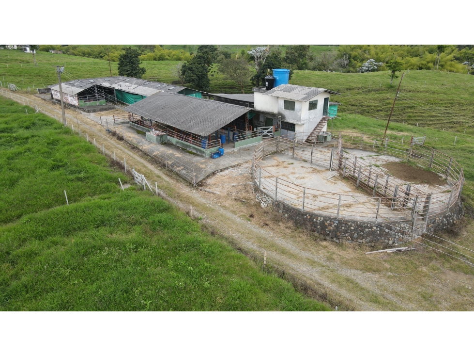 VENTA DE FINCA EN CIRCASIA, QUINDÍO, COLOMBIA