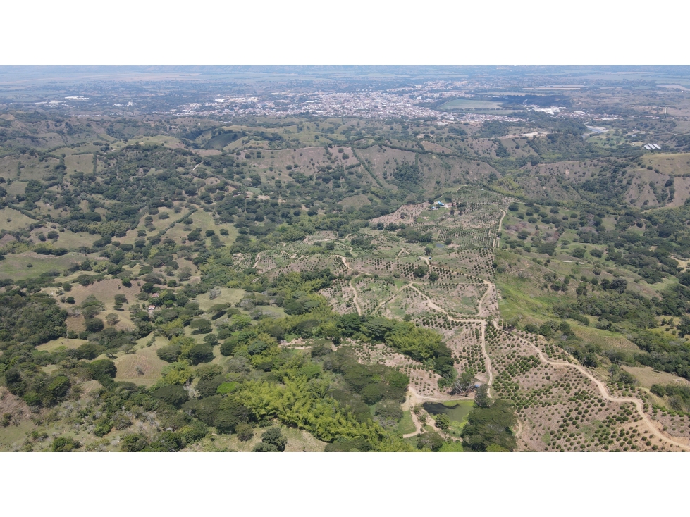VENTA DE FINCA EN CARTAGO, VALLE, COLOMBIA - 2