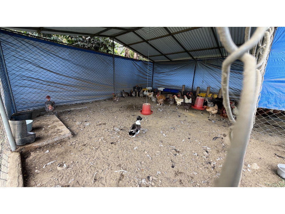 VENTA DE FINCA EN CIRCASIA, QUINDÍO, COLOMBIA — foto 6