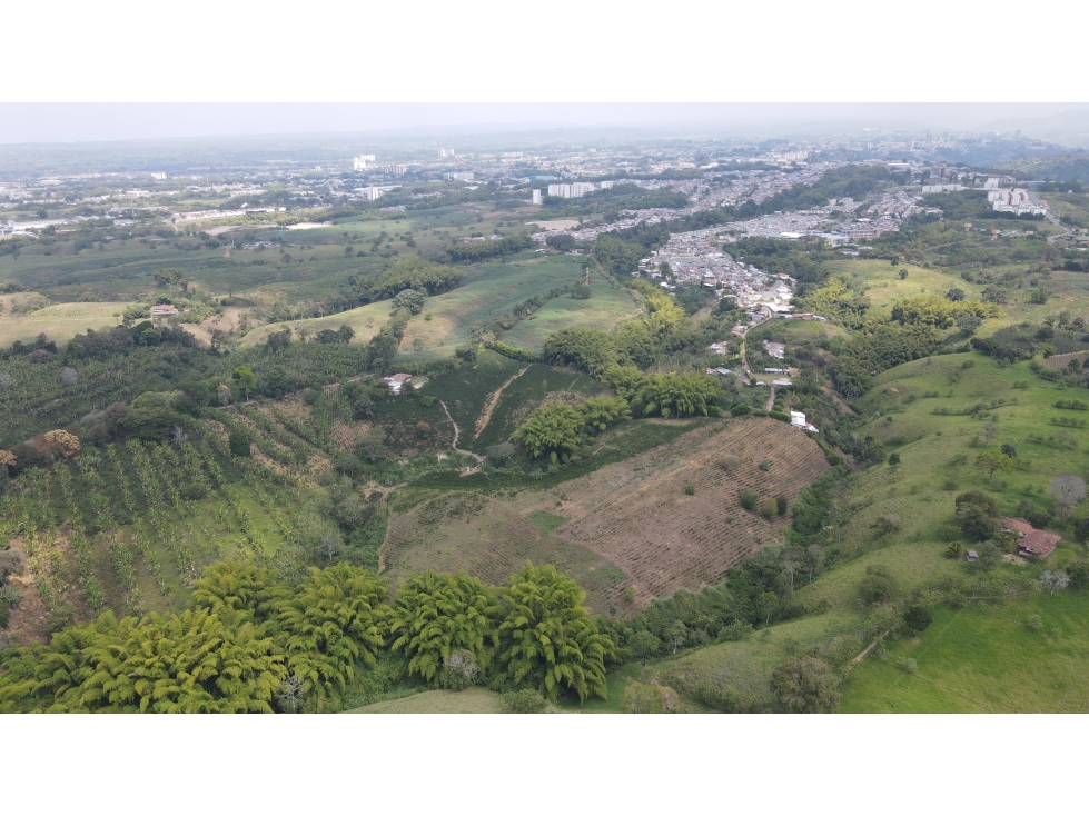VENTA DE FINCA CAFETERA EN ARMENIA, QUINDIO, COLOMBIA - 3