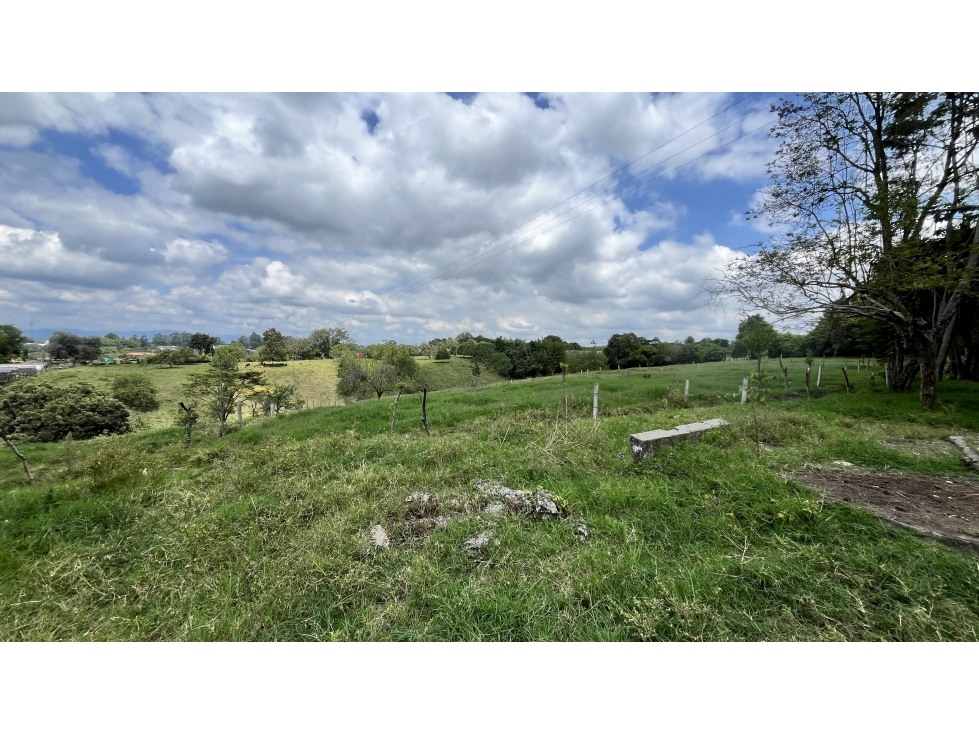 VENTA DE FINCA EN CALARCÁ, QUINDÍO, COLOMBIA - 4