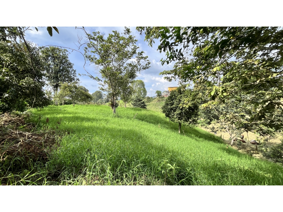 VENTA DE FINCA EN CIRCASIA, QUINDÍO, COLOMBIA — foto 6