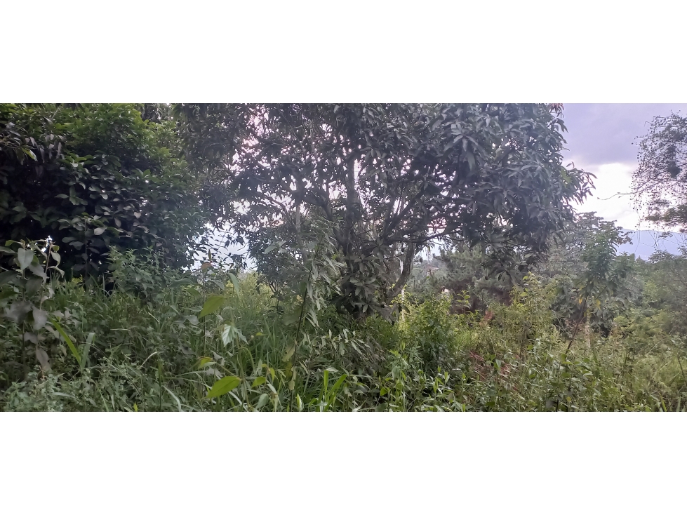 LOTE EN VENTA / RUITOQUE ALTO LA ESPERANZA - 2