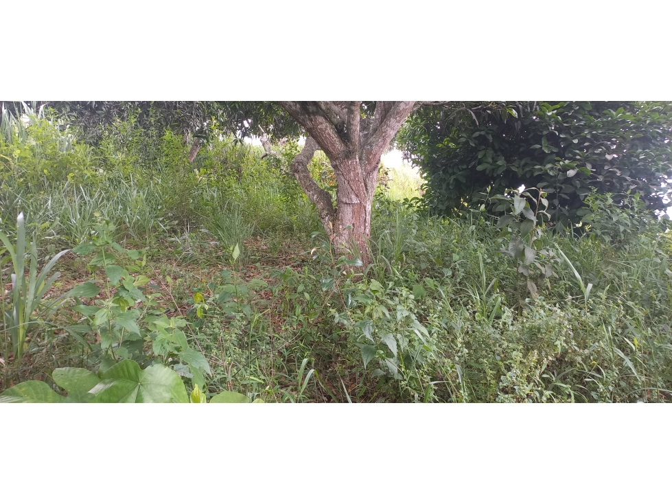LOTE EN VENTA / RUITOQUE ALTO LA ESPERANZA - 3