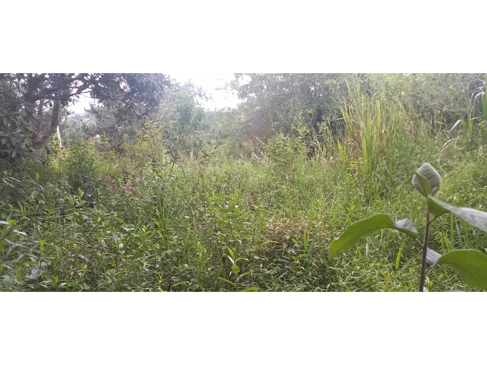LOTE EN VENTA / RUITOQUE ALTO LA ESPERANZA - 4