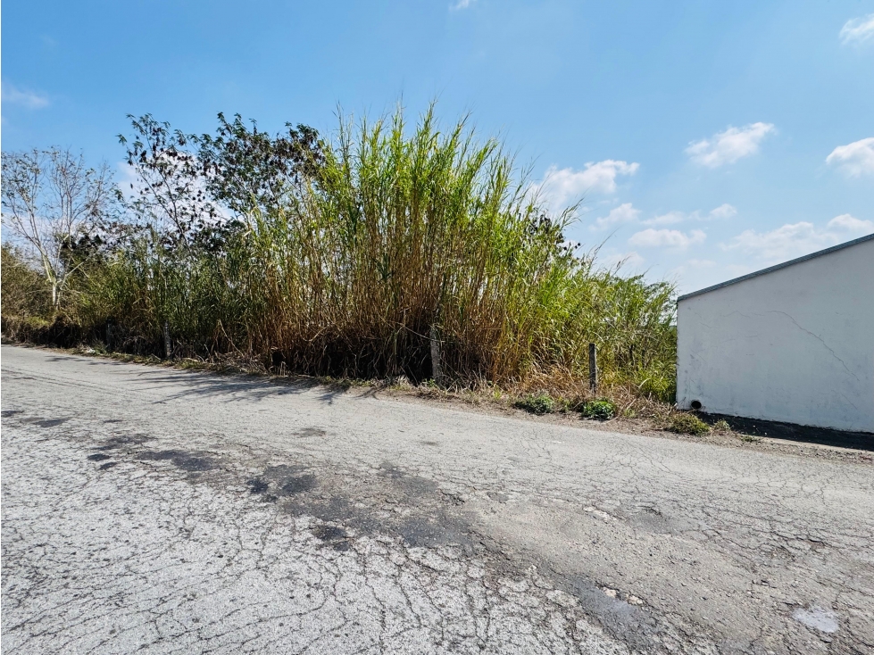 Terreno en venta en Parque Industrial, Corral Falso, Emiliano Zapata - 4