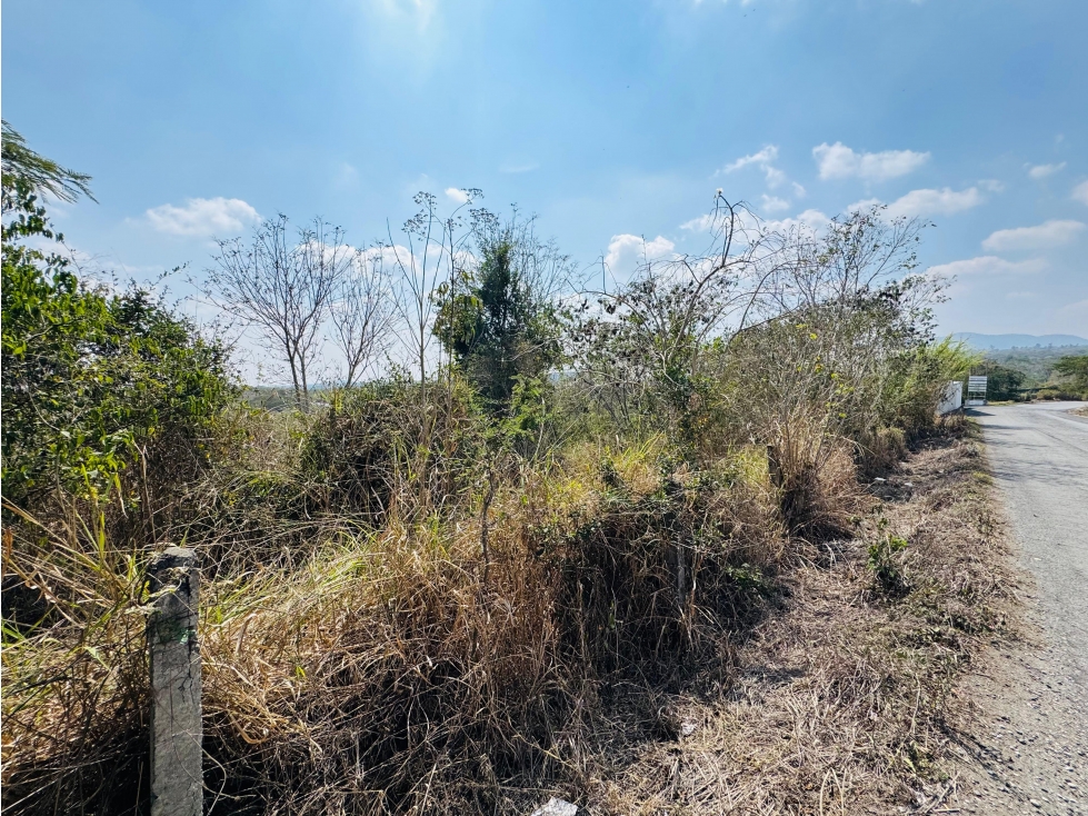 Terreno en venta en Parque Industrial, Corral Falso, Emiliano Zapata - 3