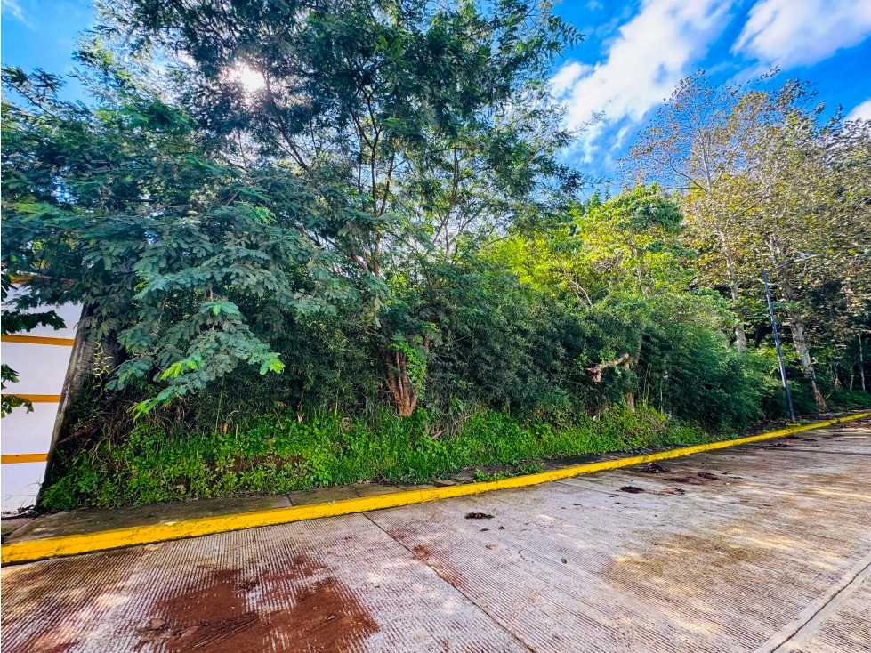 Terreno en venta en Fracc. Pozo Azul, entrando por Murillo Vidal — foto 3