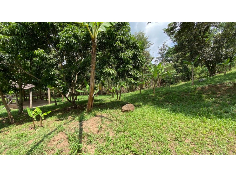 Terreno en venta en La Estanzuela - 1