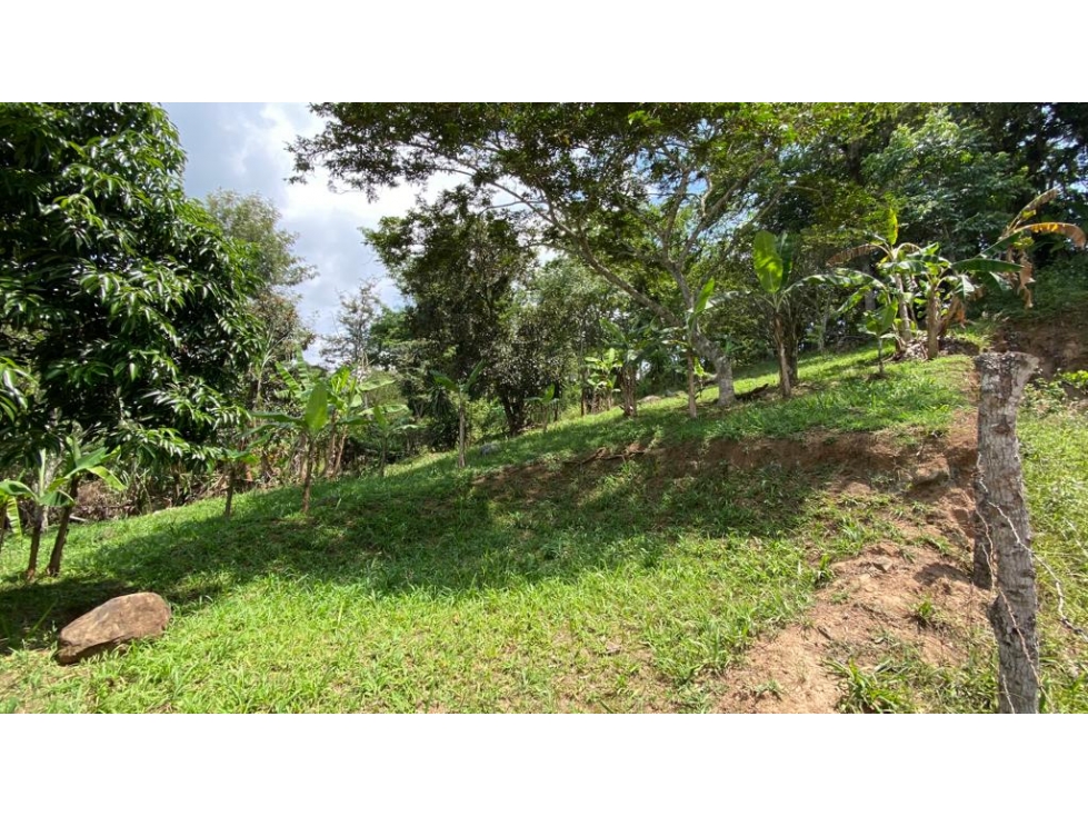Terreno en venta en La Estanzuela - 2