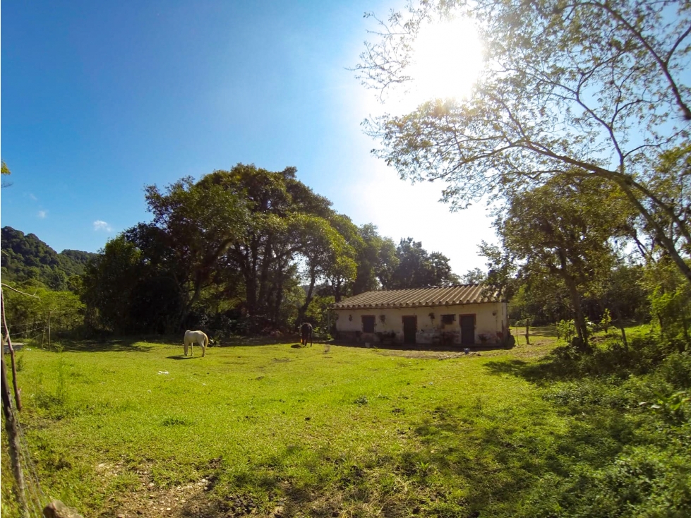 Terrenos en venta en Fraccionamiento Higueras del Guayabal - 3