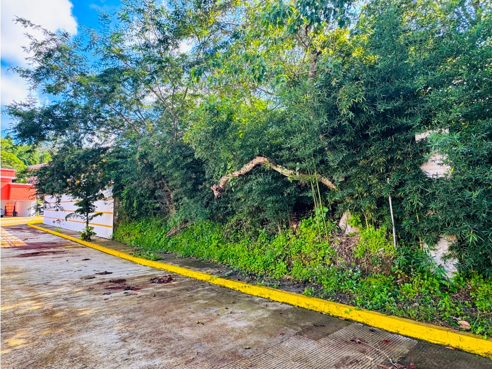 Terreno en venta en Fracc. Pozo Azul, entrando por Murillo Vidal — foto 2