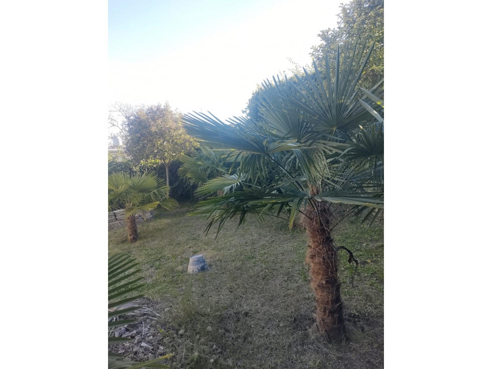 Venta | Casa | 2 dorm | Mariano Moreno | a refaccionar - 6