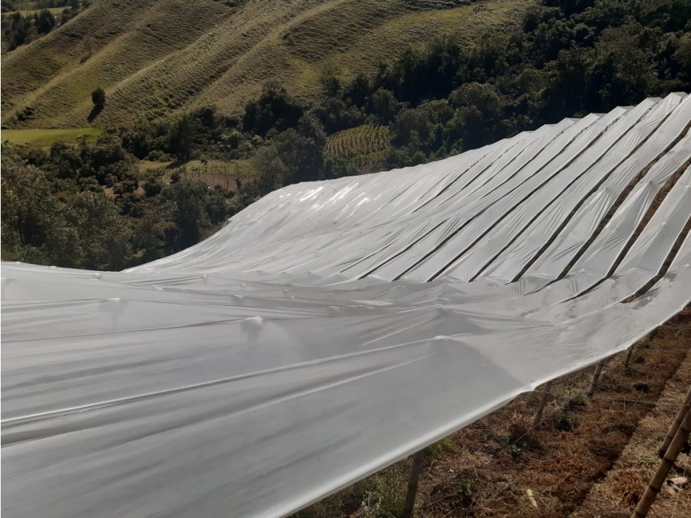 venta de finca en abejorral - 3