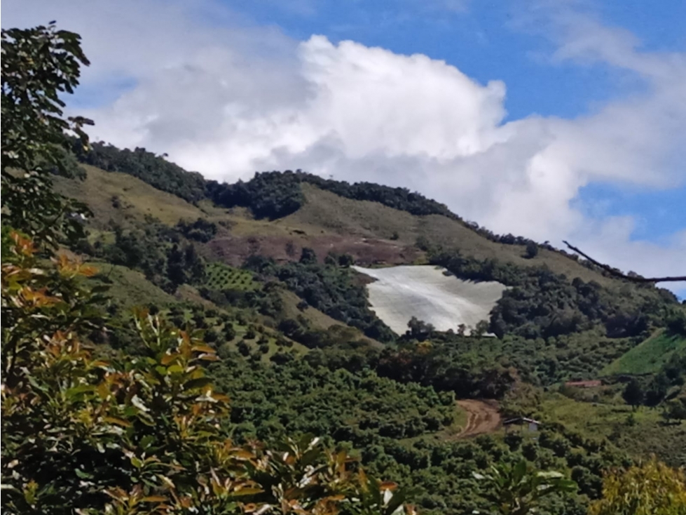 venta de finca en abejorral - 4