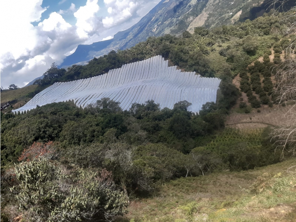 venta de finca en abejorral - 5