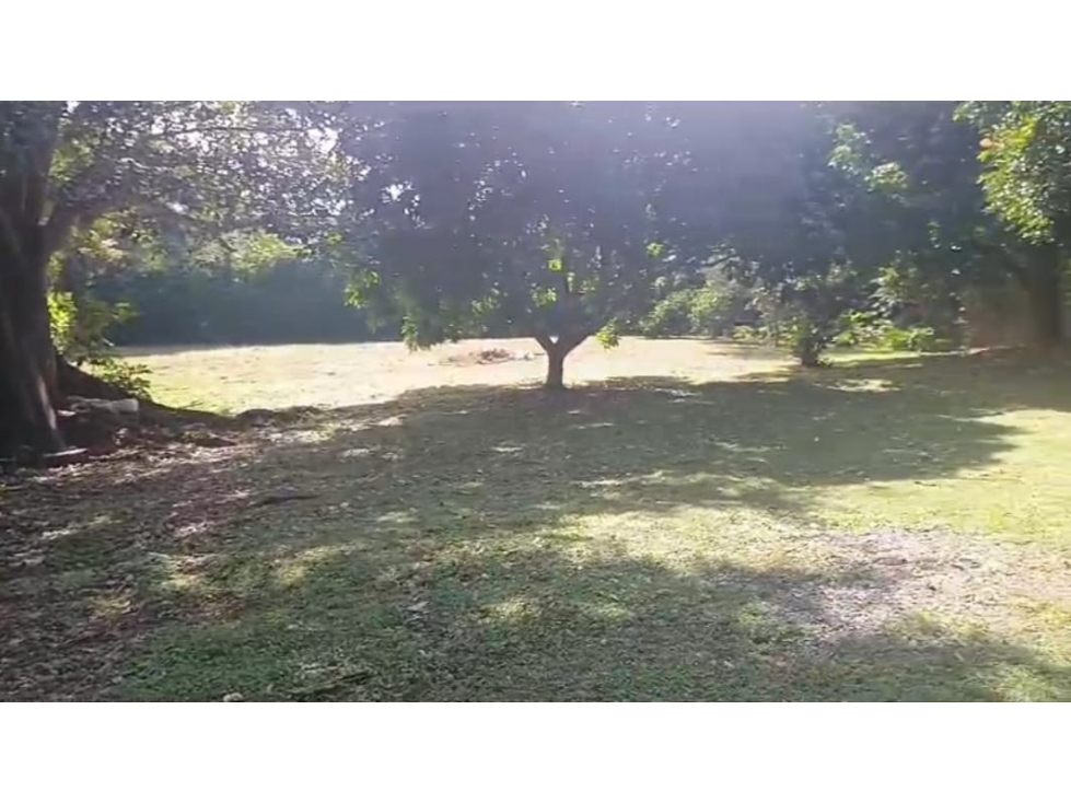 VENDO LOTE EN LA VÍA DE SAN JERÓNIMO A SANTA FE DE ANTIOQUIA. 3900 M2. - 1
