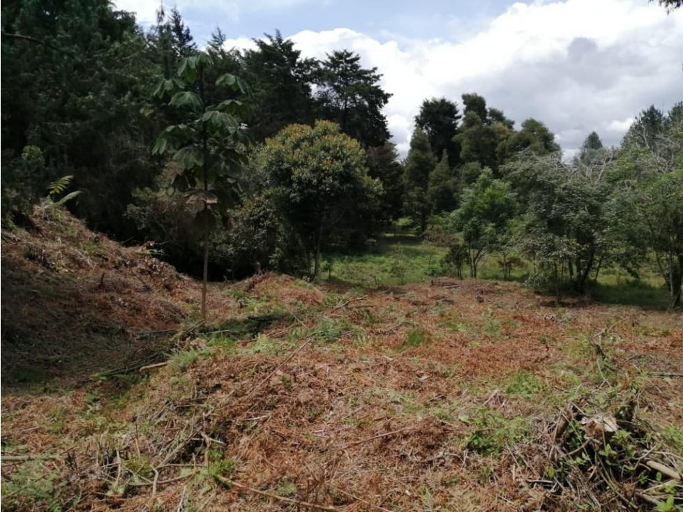 VENDO LOTE EN RIONEGRO, SAJONIA. 3.400 M2. — foto 2