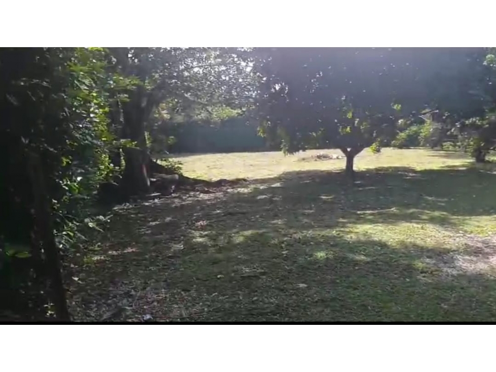 VENDO LOTE EN LA VÍA DE SAN JERÓNIMO A SANTA FE DE ANTIOQUIA. 3900 M2. - 2