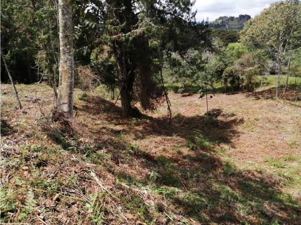 VENDO LOTE EN RIONEGRO, SAJONIA. 3.400 M2. — foto 3
