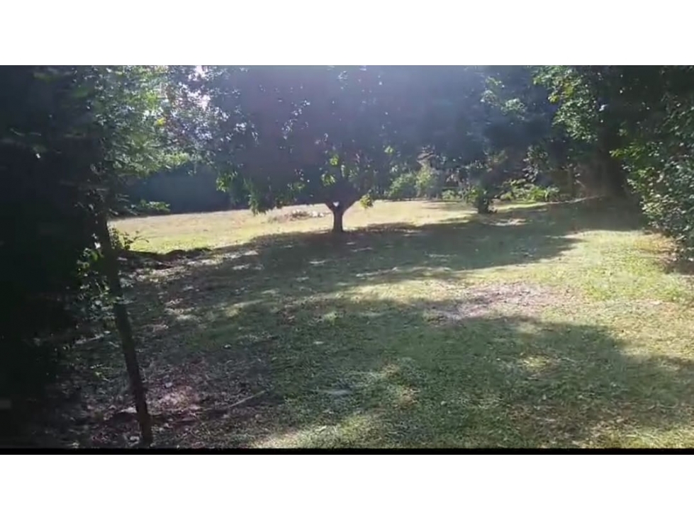 VENDO LOTE EN LA VÍA DE SAN JERÓNIMO A SANTA FE DE ANTIOQUIA. 3900 M2. - 3
