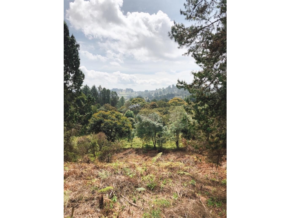 VENDO LOTE EN RIONEGRO, SAJONIA. 3.400 M2. — foto 4