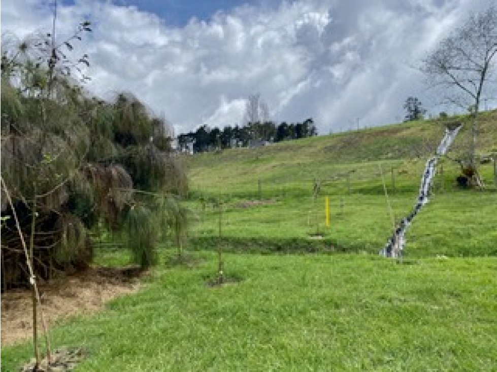 Venta lote en Parcelación Alto de Palmas / sector la Acuarela — foto 2