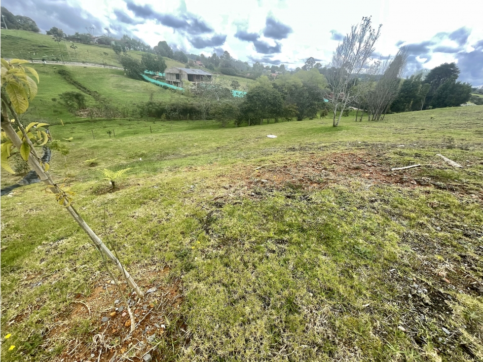Venta lote en Parcelación Alto de Palmas / sector la Acuarela — foto 5
